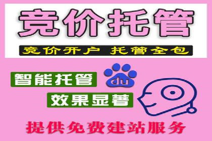 探索sem代运营机构的成功策略：多案例分析